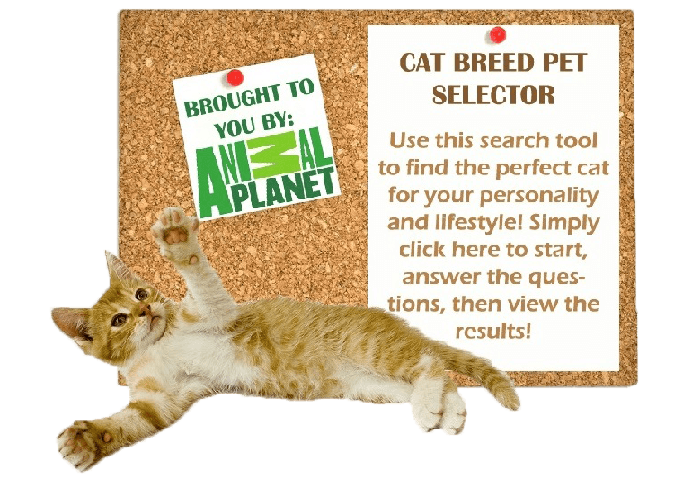 animal breeder education animal breeder education